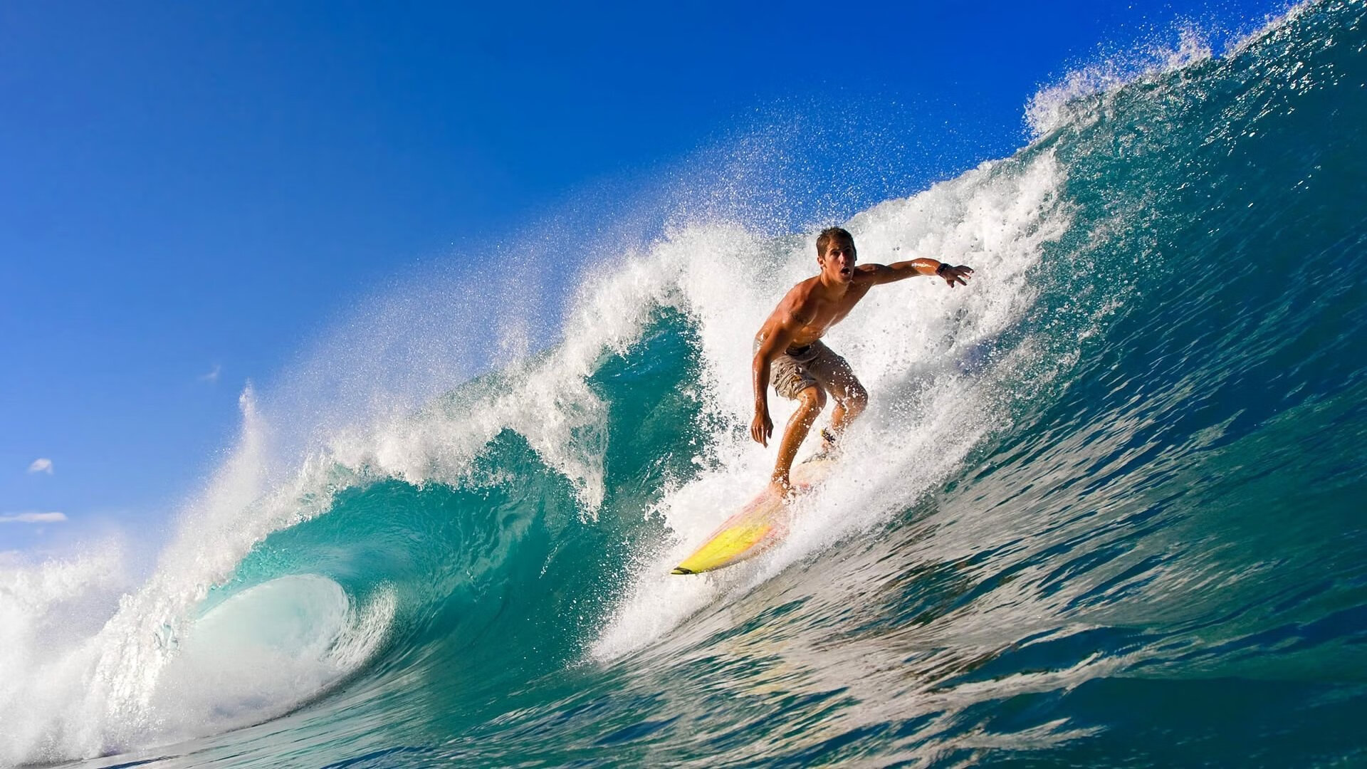 车队幕后英雄：工程师的贡献不可忽视，工程车队名字大全